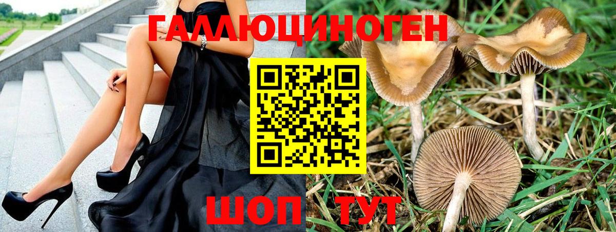 Галлюциногенные грибы GOLDEN TEACHER  Галлюциногенные грибы Cubensis  Вход с VPN  Моздок 